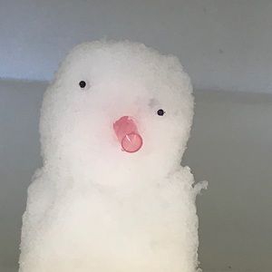 Meet your Posher, Patrick